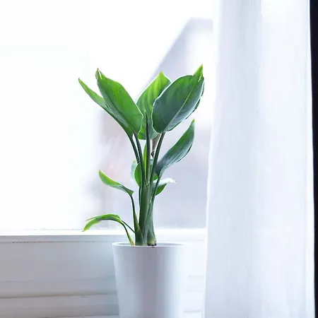 Apartment 54 - 4 Sterne In Bad Arolsen