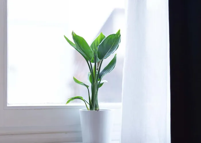 Apartment 54 - 4 Sterne In Bad Arolsen