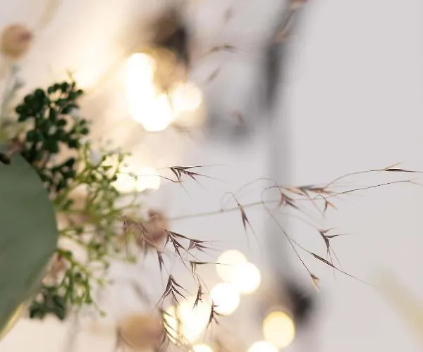 54 - 4 Sterne In 公寓 巴特阿罗尔森